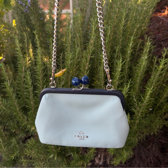 Coach Nora Blueberry Kisslock Crossbody Clutch Light Teal Midnight Multi - Picture 8 of 11